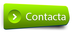 Diseño y desarrollo web Contacta Globalyza