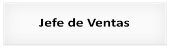 Proceso de selección: Jefe de ventas