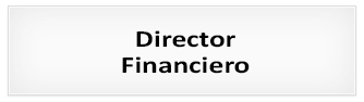 Proceso de selección : Director Financiero